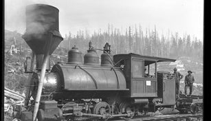 Huron Herbert Smith, No restrictions, via Wikimedia Commons