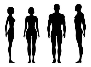 Human body silhouette
