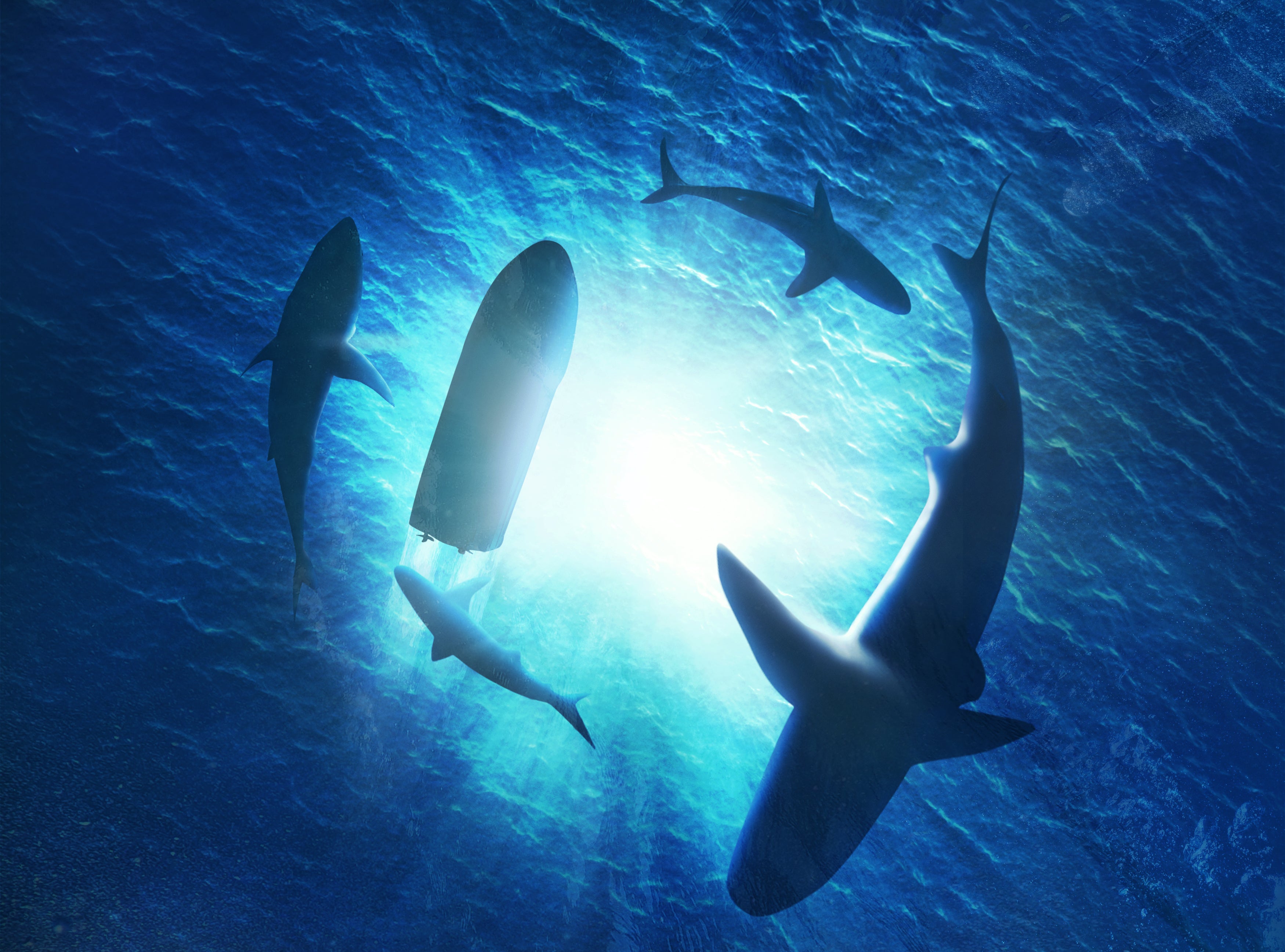 Illustration of sharks forming a circle under a boat in water