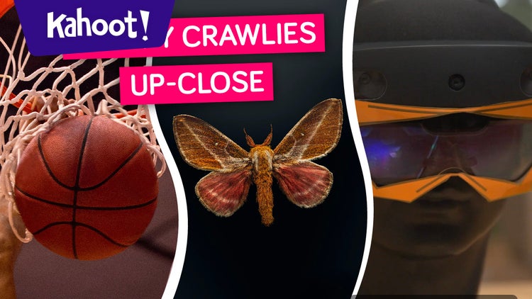 Augmented reality, insects up close, and a 3-D printed basketball ...