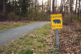 Bear Sign, Bear Warning Sign on Hiking Trail, Wildlife Risk