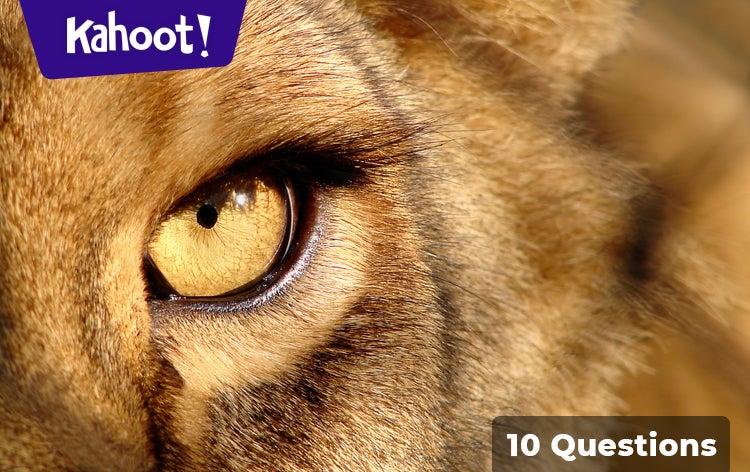 Mammals: Characteristics and Subgroups - Kahoot! Quiz