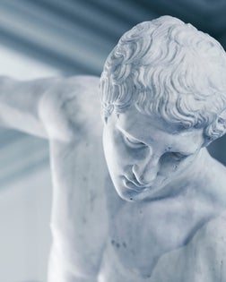 closeup of trownley discololus