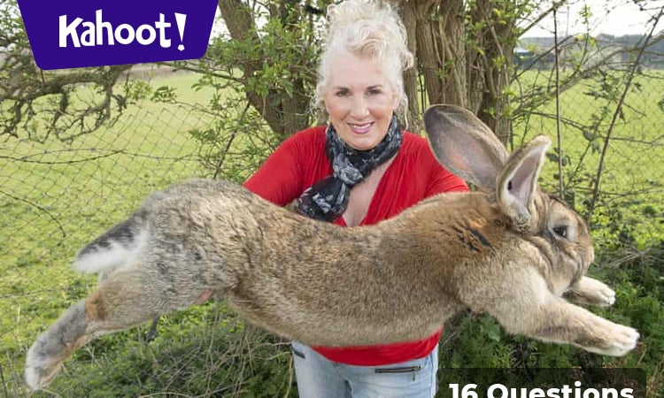 Darius - GIANT Rabbit - Kahoot! Quiz