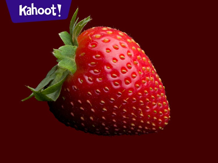 Herbology and Mammals - Kahoot! Quiz