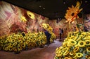 Meet Van Gogh Art Exhibition