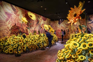 Meet Van Gogh Art Exhibition