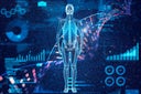 Human bone full body with genomic DNA molecular structure and data