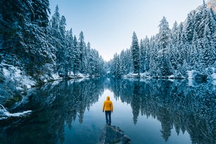 One person admiring a frost forest in the dolomites in winter, Italy