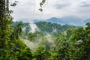 Majestic Rainforest and Talamanca Mountain Range
