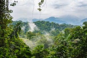 Majestic Rainforest and Talamanca Mountain Range