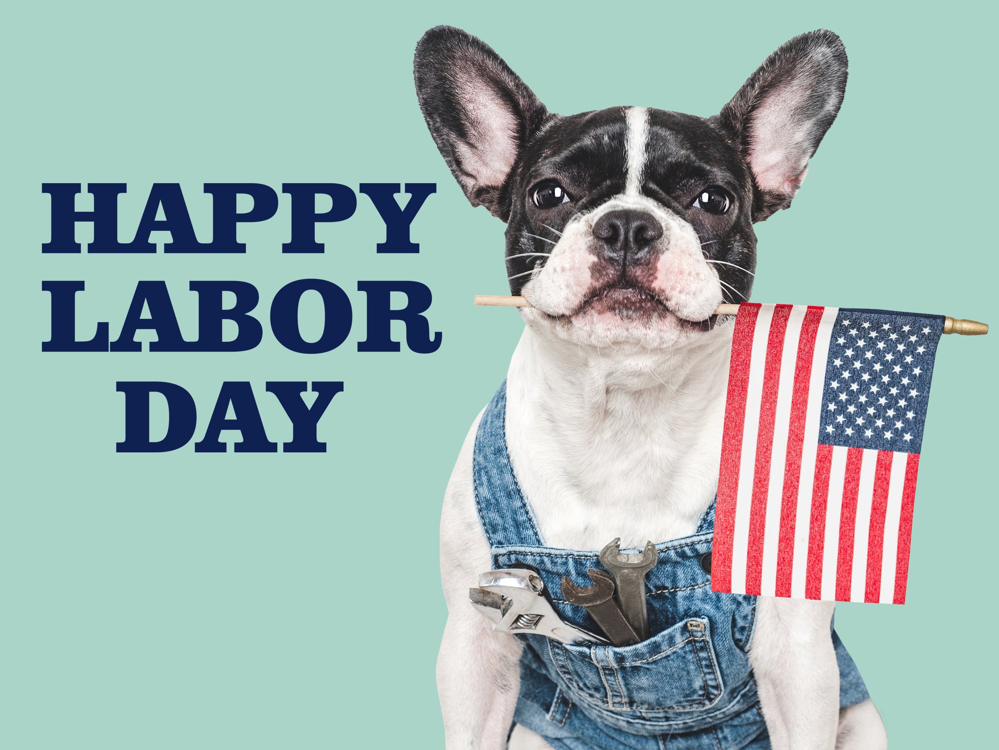 Happy Labor Day. Cute puppy dog and congratulatory inscription