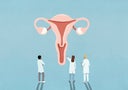 Doctors examining and discussing female reproductive system