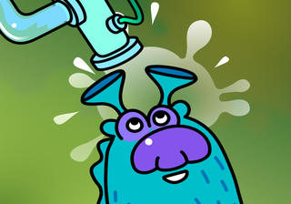 Wash-Wash Operations