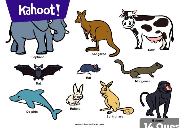 Mammals - Kahoot! Quiz