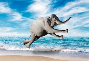 Elephant Destinations