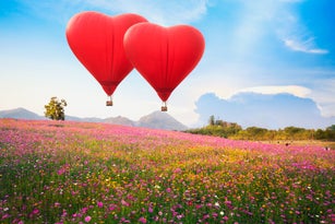 Red heart air balloon over on Beautiful Cosmos Flower in park