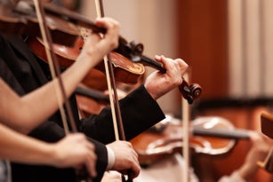 Hand of a musician playing the violin
