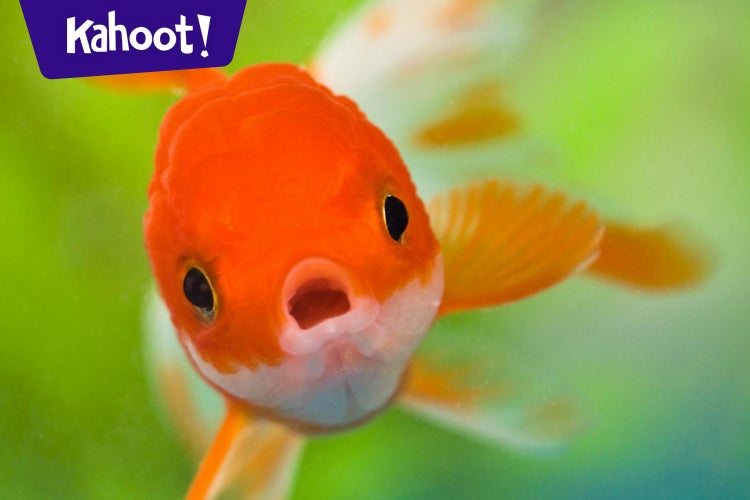 Play Kahoot! Biology Chapter 24 & 28 Animal Classification, Fish