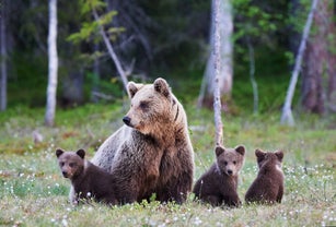Mummy bear and her three little puppies