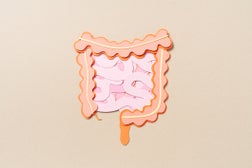 Human Intestine Anatomy Paper Cut Craft