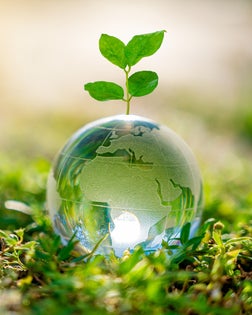 Concept Save the world save environment The world is in the grass of the green bokeh background