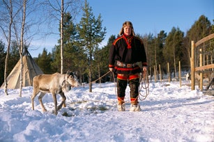 A reindeer breeder and a reindeer.