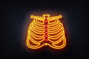 human body ribs   cage