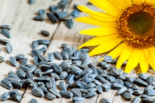 Sunflower seeds on a wooden background