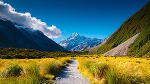 Mt. Cook Valley, Aoraki Mount Cook, Canterbury, South Island, New Zealand