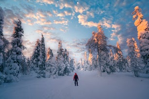 One man standing in a forest admiring the winter scenery in Lapland