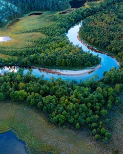 Swamp, river, lake and trees seen from above