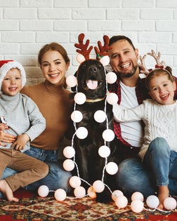 happy Christmas! family mother father and kids with dog before Christmas with garland   and tree