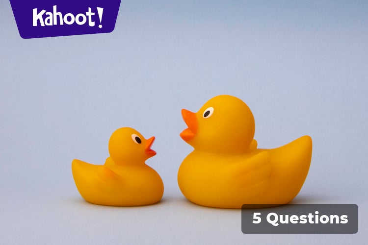 Shapes and sizes with rubber ducks - Kahoot! Quiz