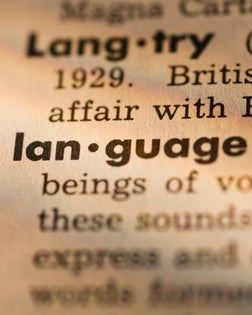 Definition of language in dictionary