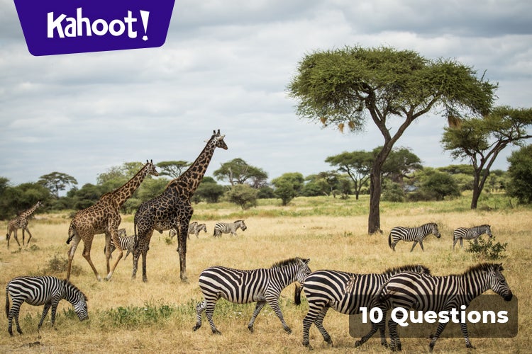 Learn about mammals! - Kahoot! Quiz