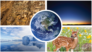 Examples of the Lithosphere, Atmosphere, Hydrosphere, and Biosphere surround a photo of the Earth.