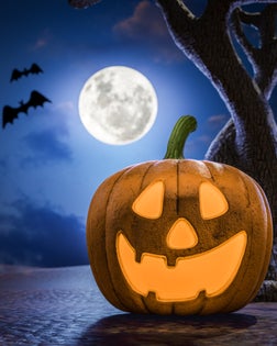 Smiling carved pumpkin, dry tree at full moon night, illuminated Jack 'o Lantern