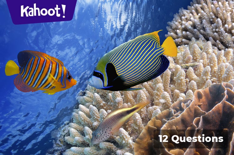 Världens mest unika fisk - Kahoot! Quiz