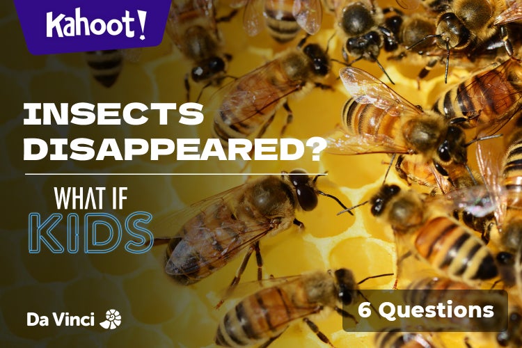 Insects Disappeared? - Kahoot! Quiz