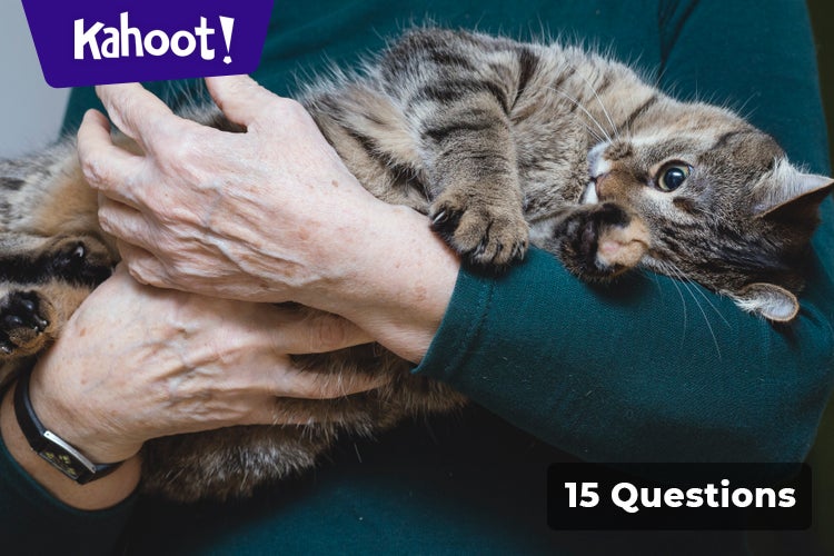 OLD MAN AT THE BRIDGE- REVISION TEST CLASS IX - Kahoot! Quiz