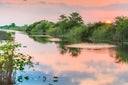 Florida Everglades Sunset Over Wetland Water Canal Landscape