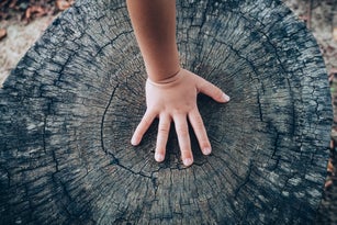 Tiny hand of a kid touching the texture of old tree trunk in the nature. Healthy and active lifestyle. Kid embracing and exploring the nature. Kids love nature