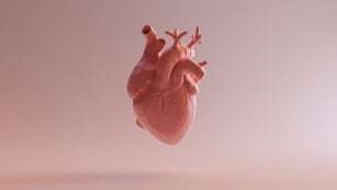 Pink Porcelain Anatomical Heart