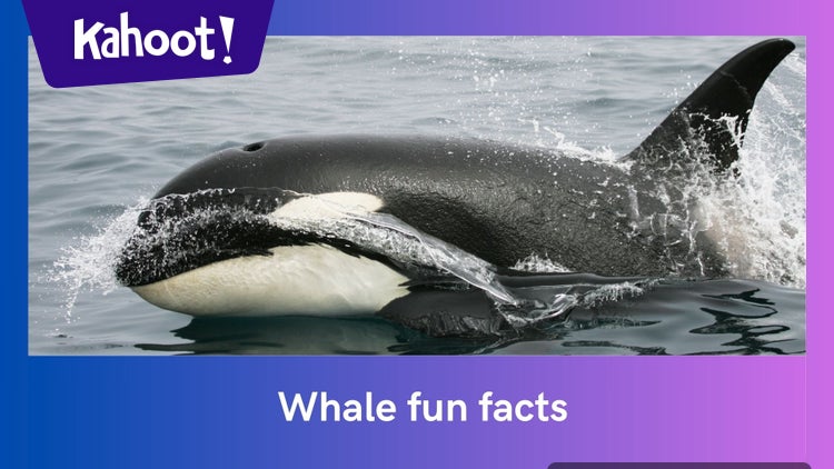 Whales - the Largest Mammals on Earth - Kahoot! Quiz