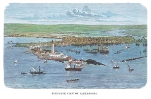 Old engraved illustration of bird's eye View of Alexandria, Egypt