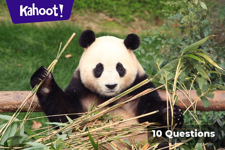 Mammals - Kahoot! Quiz