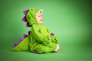 Baby Dinosaur