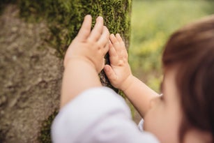 Toddler's hands feeling tree moss in park