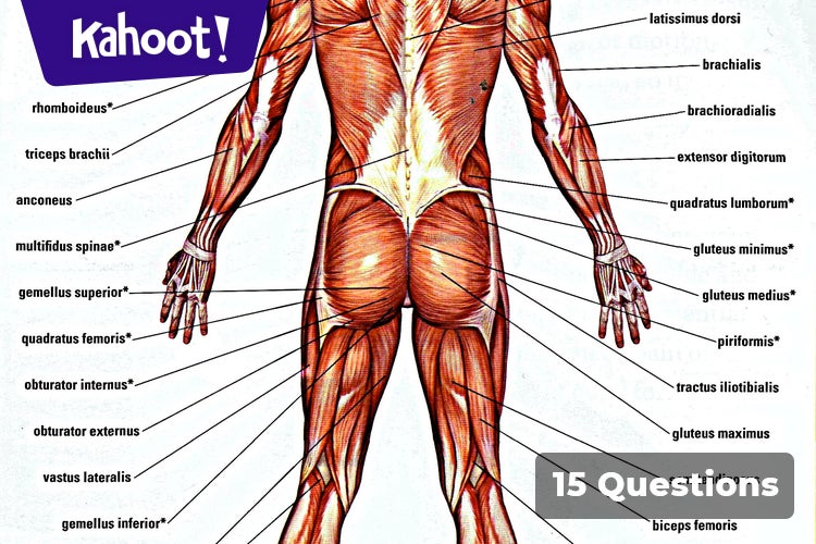 Play Kahoot Muscular System